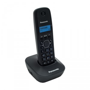 DECT-телефон Panasonic KX-TG1611RUH фото 2