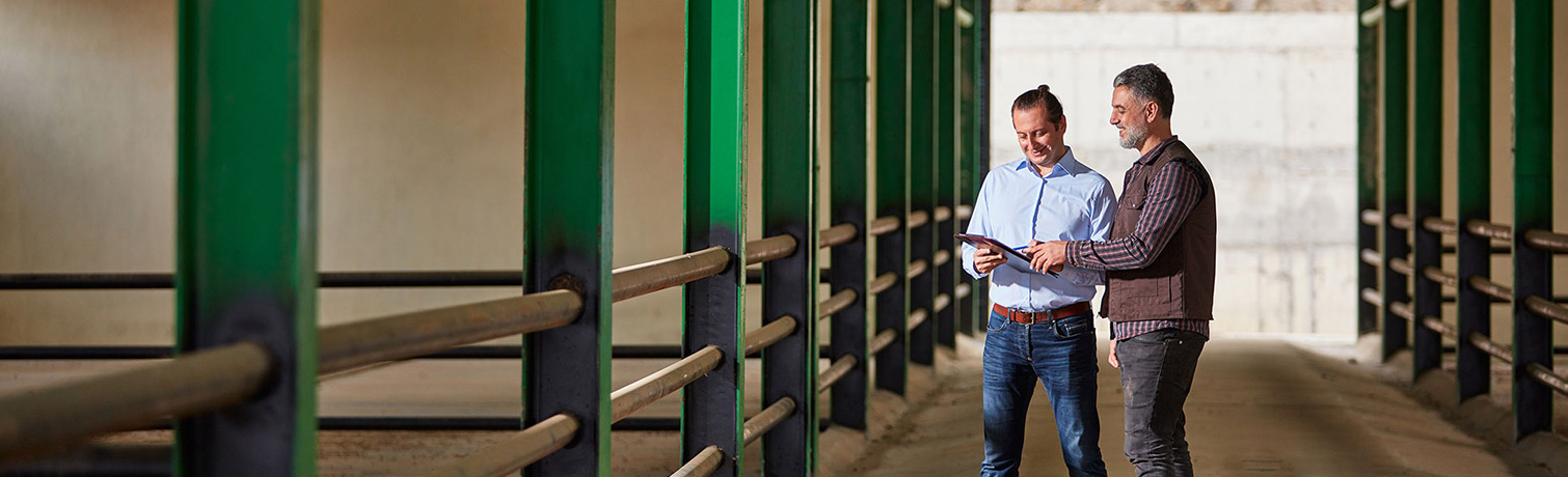 Выезд-консультация: перечень работ, стоимость