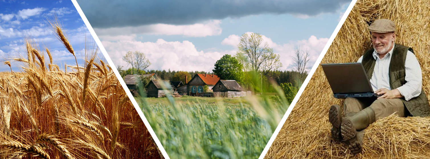 Интернет в деревне